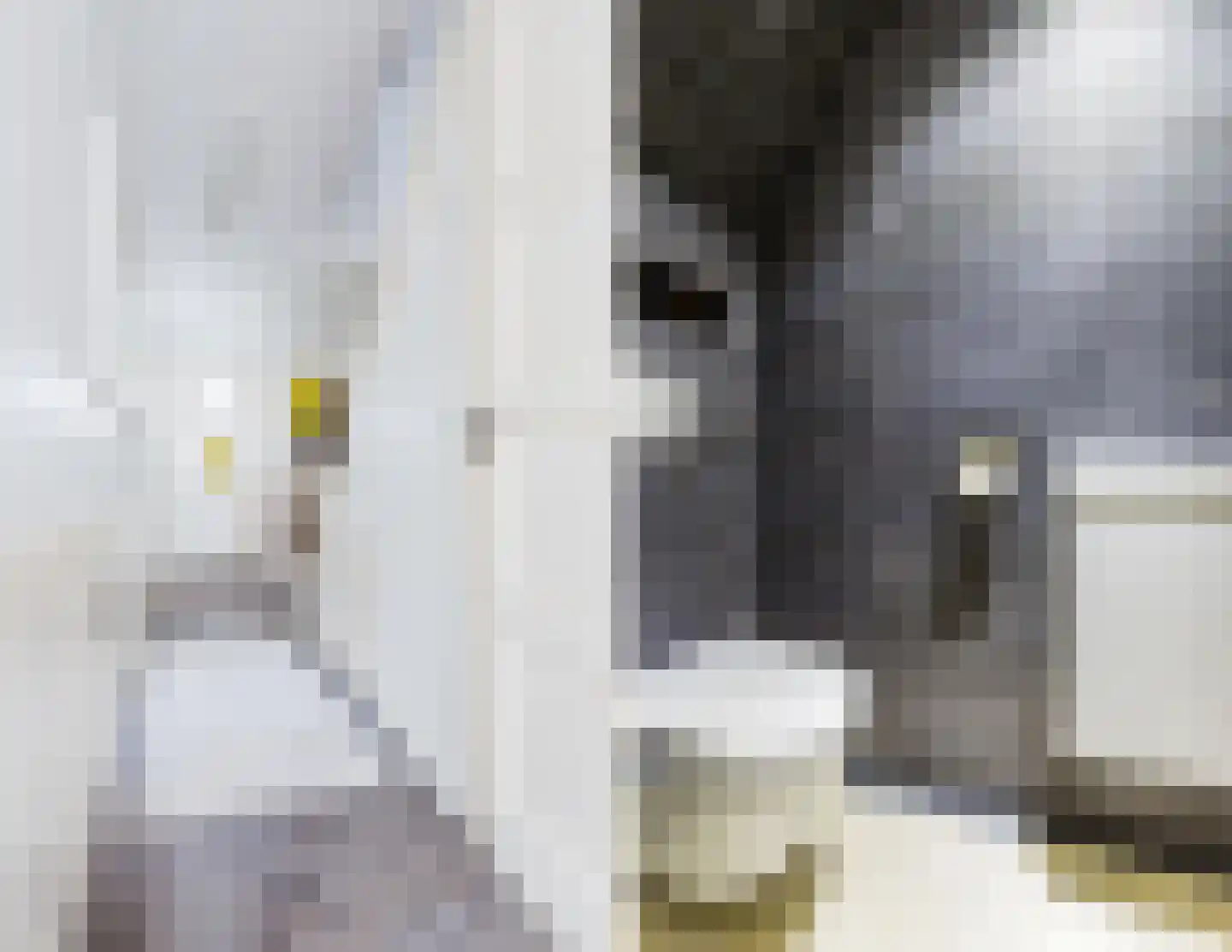 Gerda Brautigamstraat 29 Amsterdam thumbnail 9