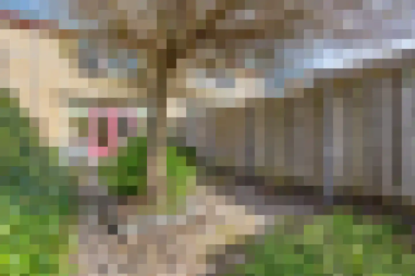 Gerda Brautigamstraat 8 Zaandam thumbnail 24