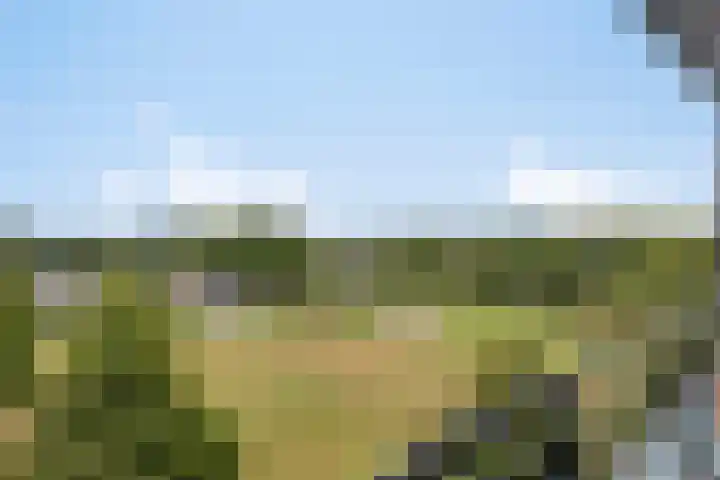 Gerdastraat 76 Hengelo thumbnail 31