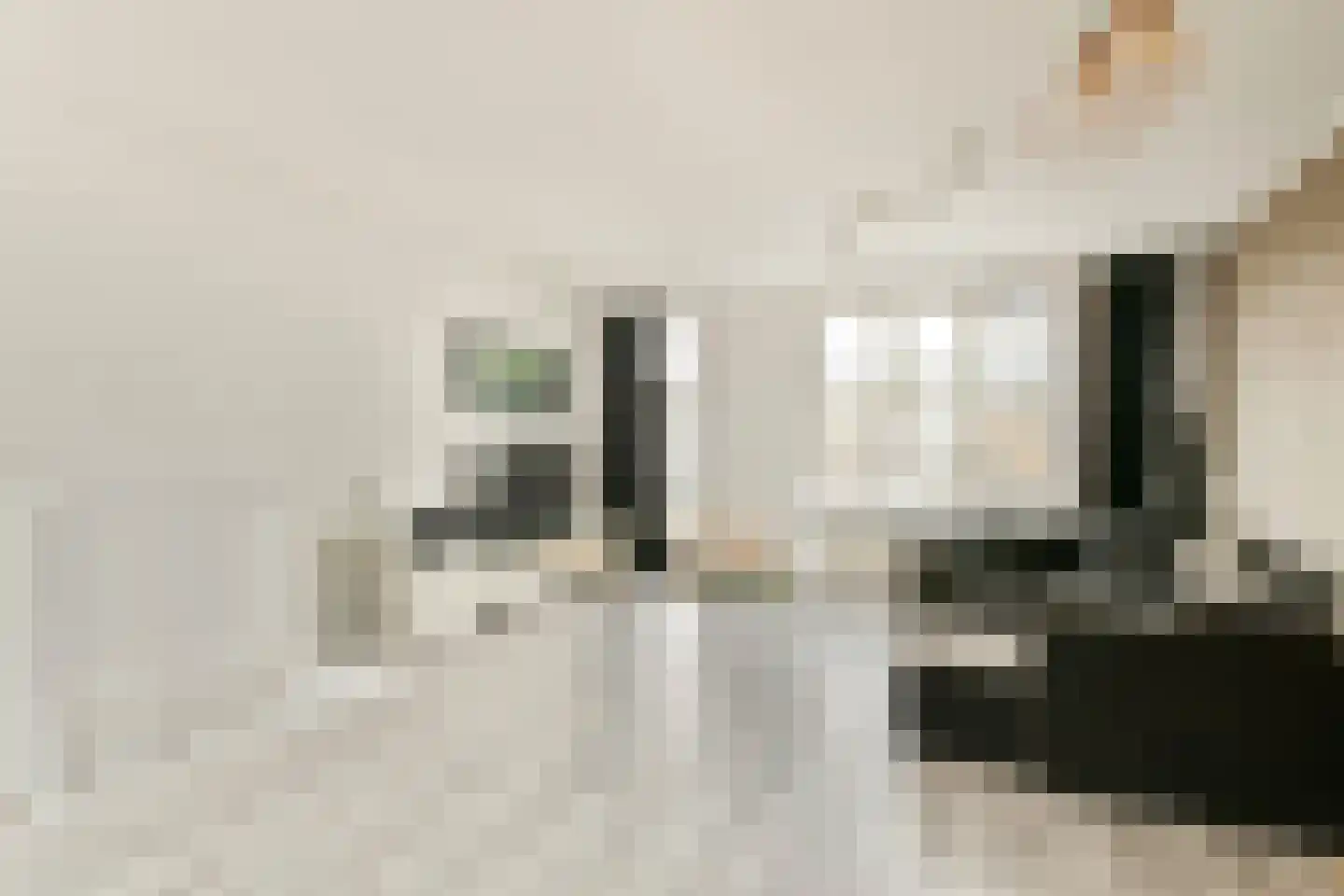 Gerdesiaweg 310 Rotterdam thumbnail 5