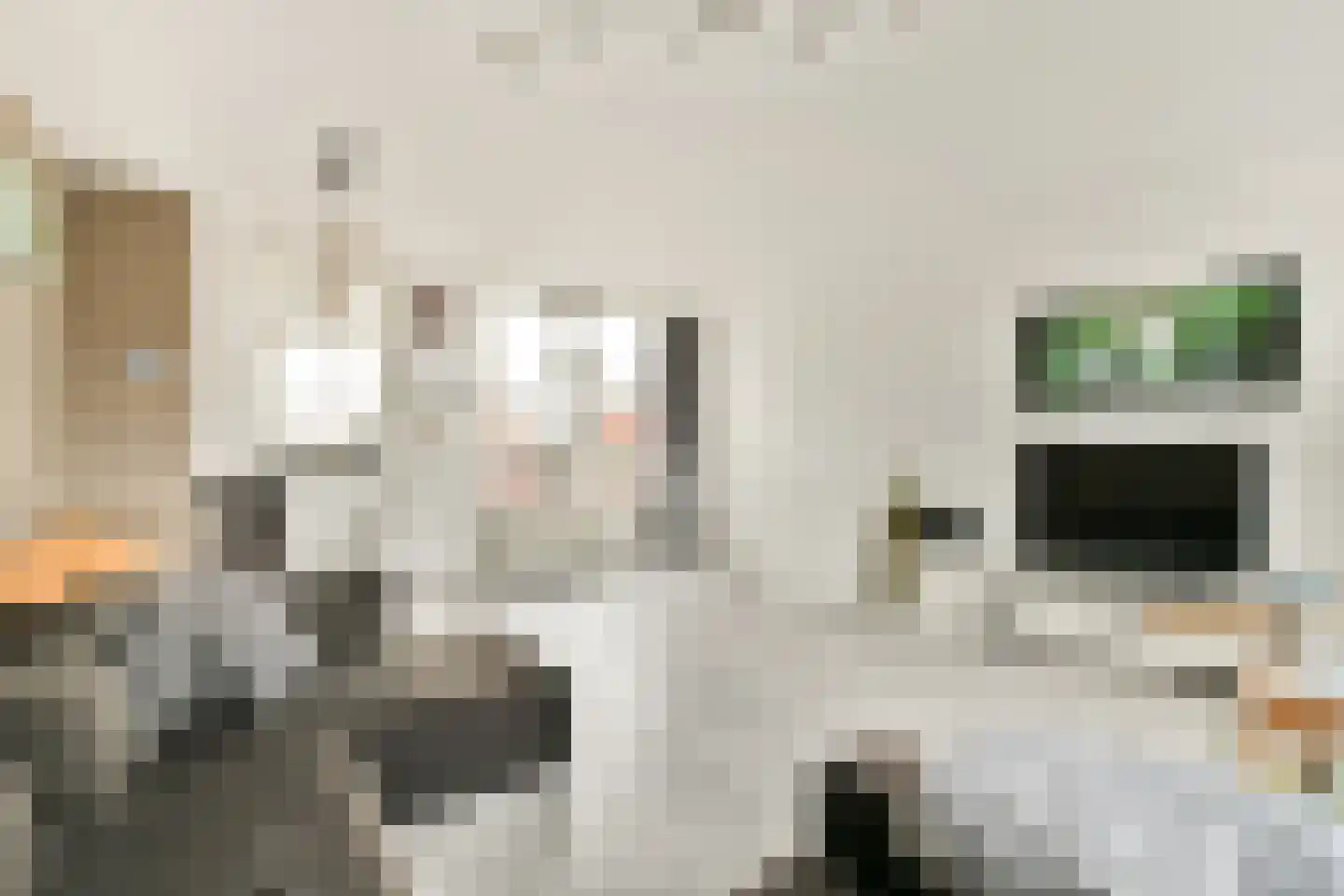 Gerdesiaweg 310 Rotterdam thumbnail 6