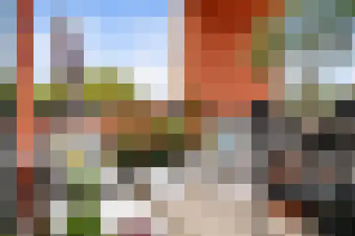 Gerdesiaweg 486 D Rotterdam thumbnail 13