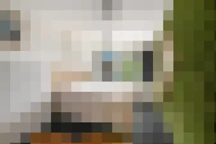 Gerdesiaweg 486 D Rotterdam thumbnail 14