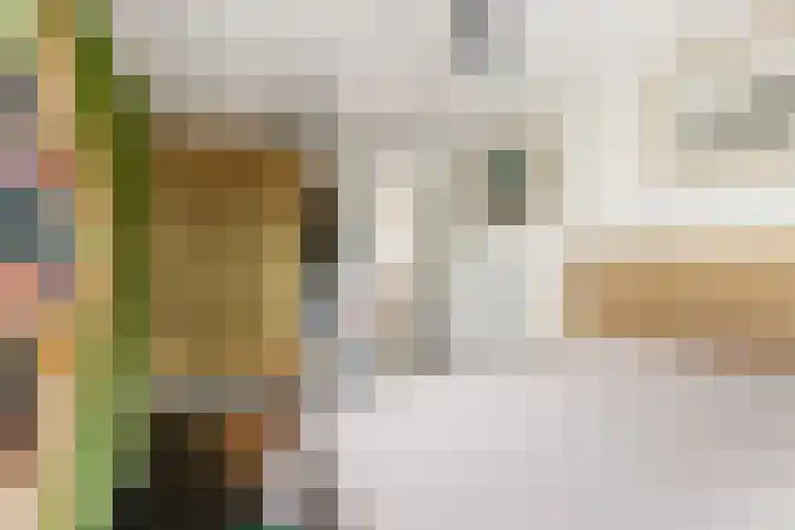 Gerdesiaweg 486 D Rotterdam thumbnail 15