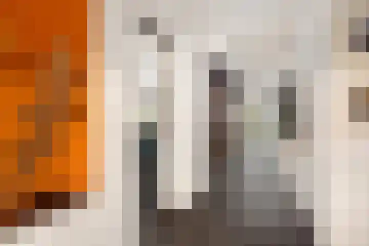 Gerdesiaweg 486 D Rotterdam thumbnail 26
