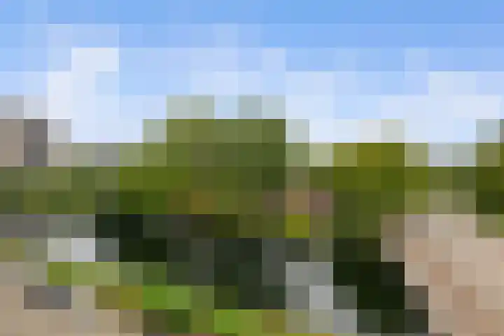 Gerdesiaweg 486 D Rotterdam thumbnail 34