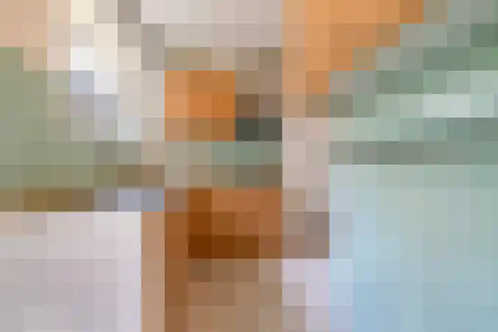 Gerdesiaweg 561 Rotterdam thumbnail 12