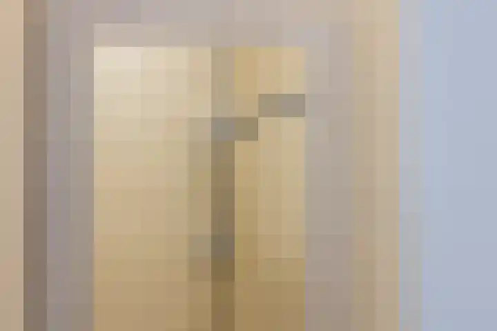 Gerdesiaweg 561 Rotterdam thumbnail 19