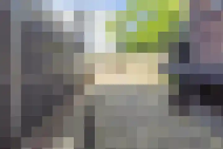Gerdesiaweg 561 Rotterdam thumbnail 24