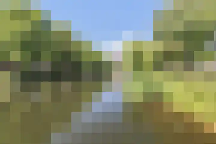Gerdesiaweg 561 Rotterdam thumbnail 27