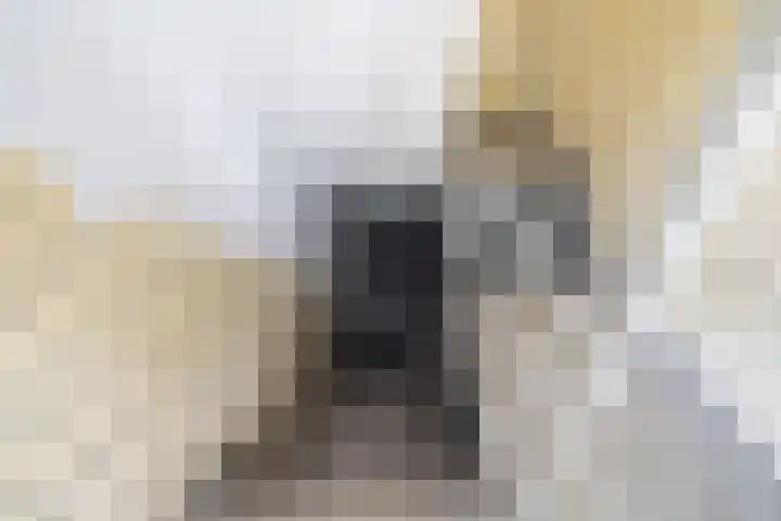Gerdesiaweg 561 Rotterdam thumbnail 29