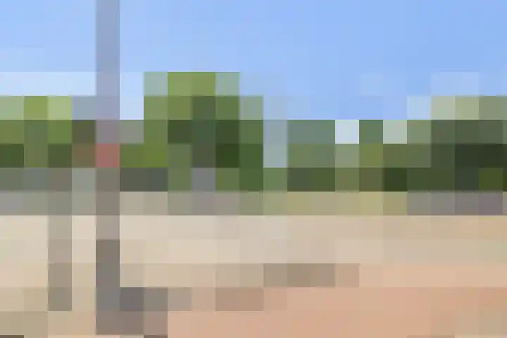 Gerdesiaweg 561 Rotterdam thumbnail 30