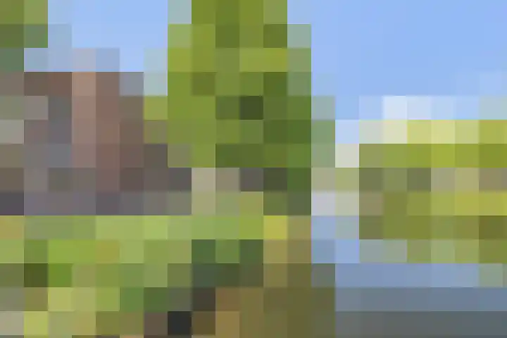 Gerdesiaweg 561 Rotterdam thumbnail 31
