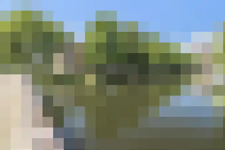 Gerdesiaweg 561 Rotterdam thumbnail 33