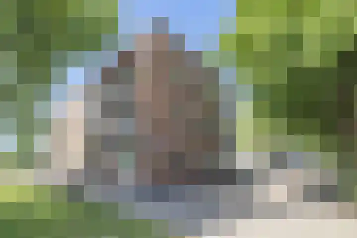 Gerdesiaweg 561 Rotterdam thumbnail 37