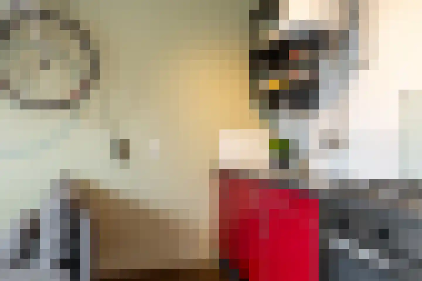 Gerdesiaweg 82 Rotterdam thumbnail 10