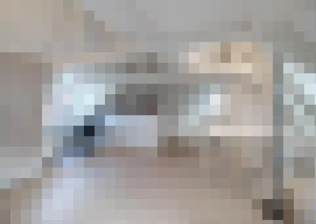 Gerecht 10 A Leiden thumbnail 4