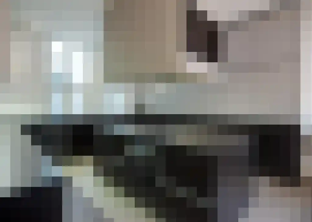Gerecht 10 Leiden thumbnail 5