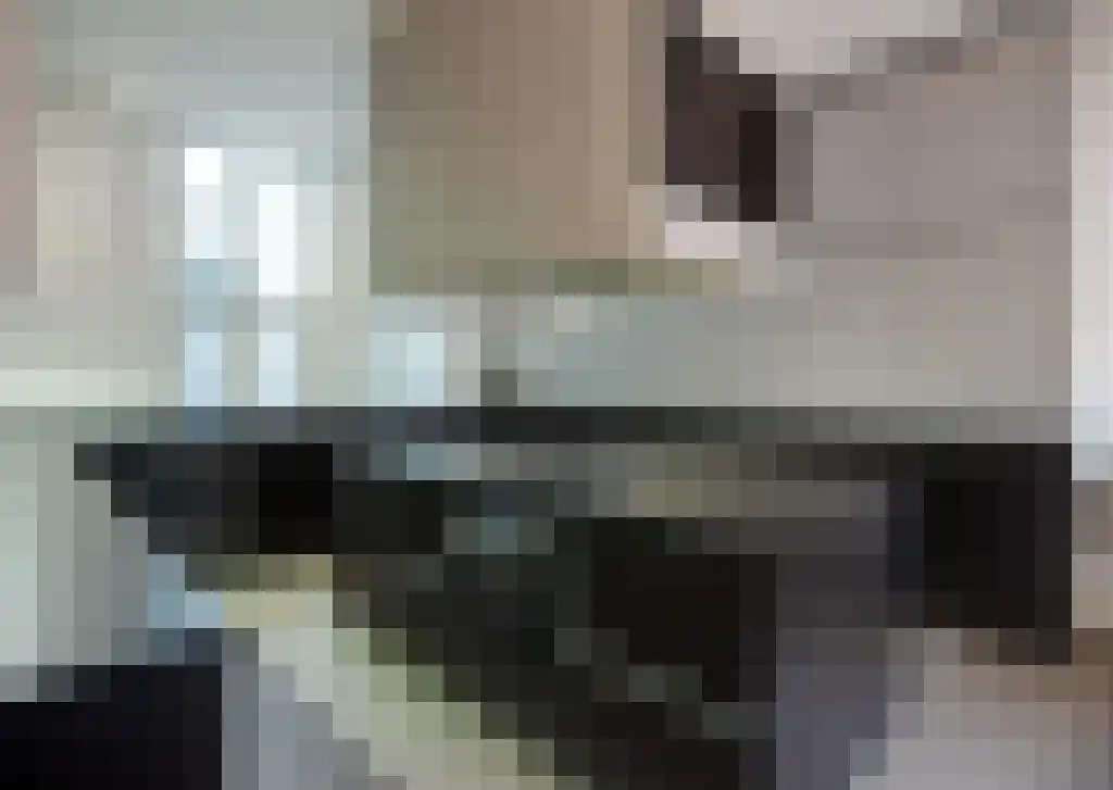 Gerecht 10 Leiden thumbnail 5