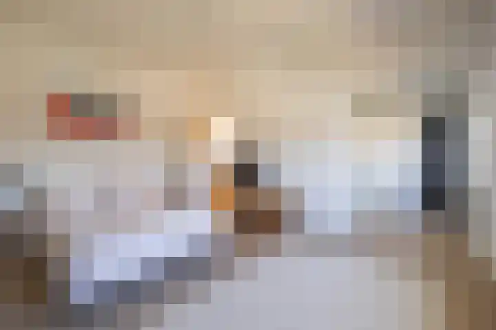 Gerechtigheidslaan 10 Maastricht thumbnail 12