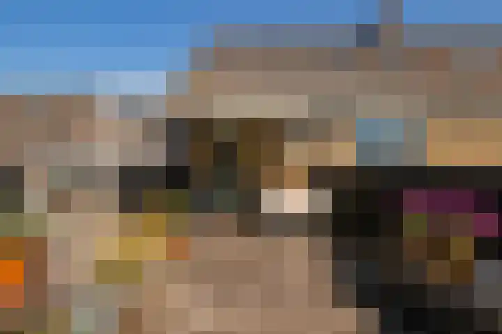 Gerechtigheidslaan 10 Maastricht thumbnail 22