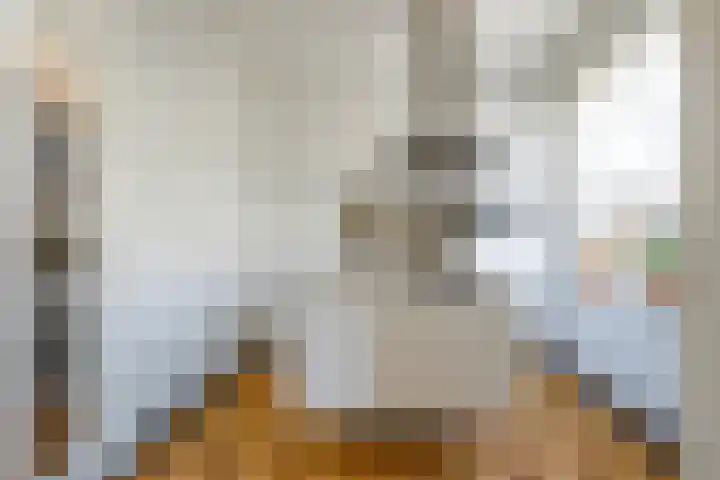 Gerechtigheidslaan 10 Maastricht thumbnail 4