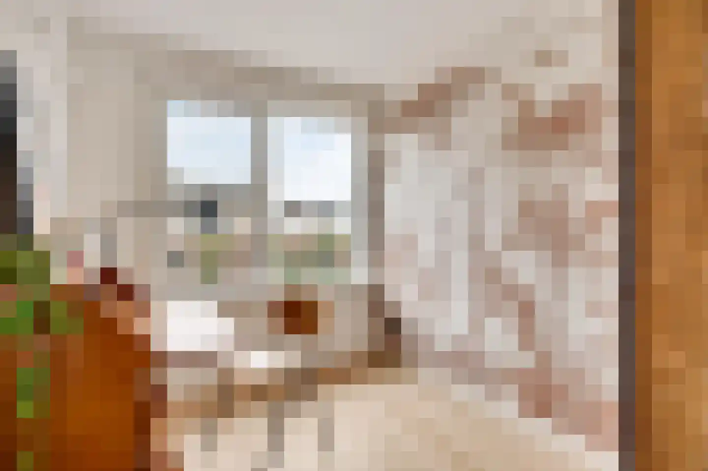 Gerechtigheidslaan 7 Maastricht thumbnail 14