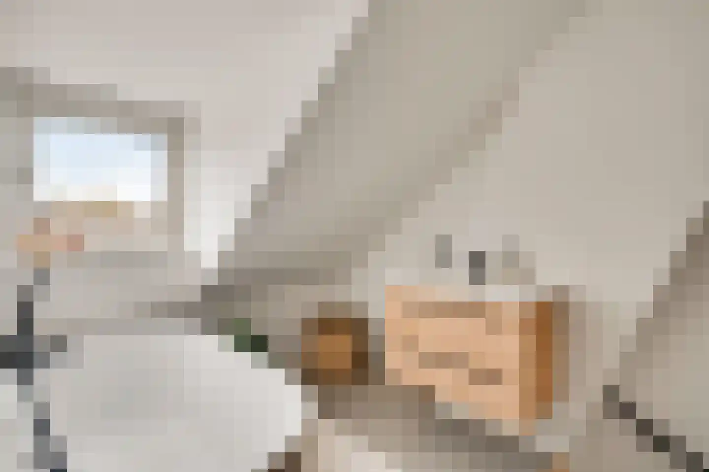 Gerechtigheidslaan 7 Maastricht thumbnail 19