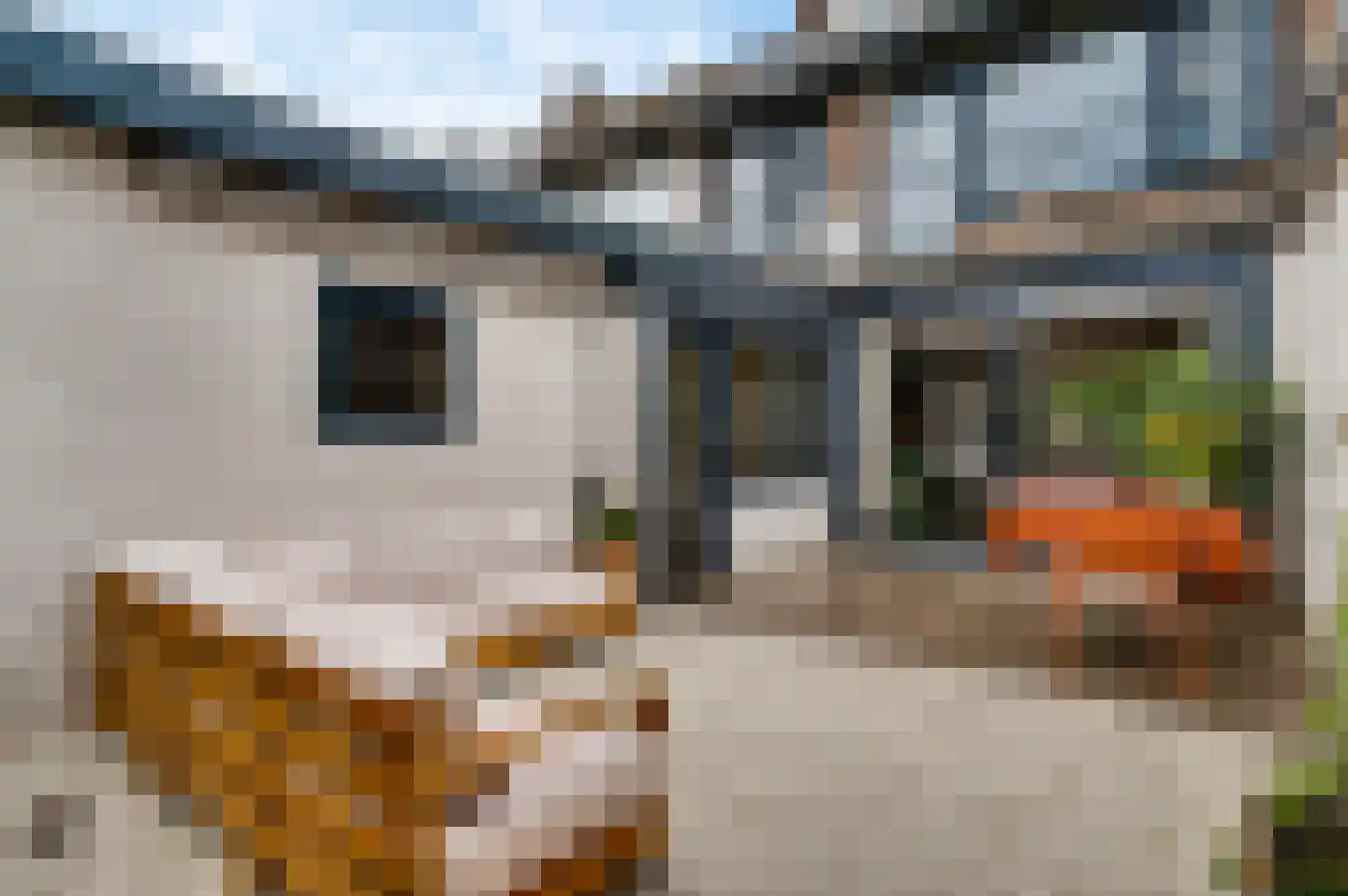 Gerechtigheidslaan 7 Maastricht thumbnail 20