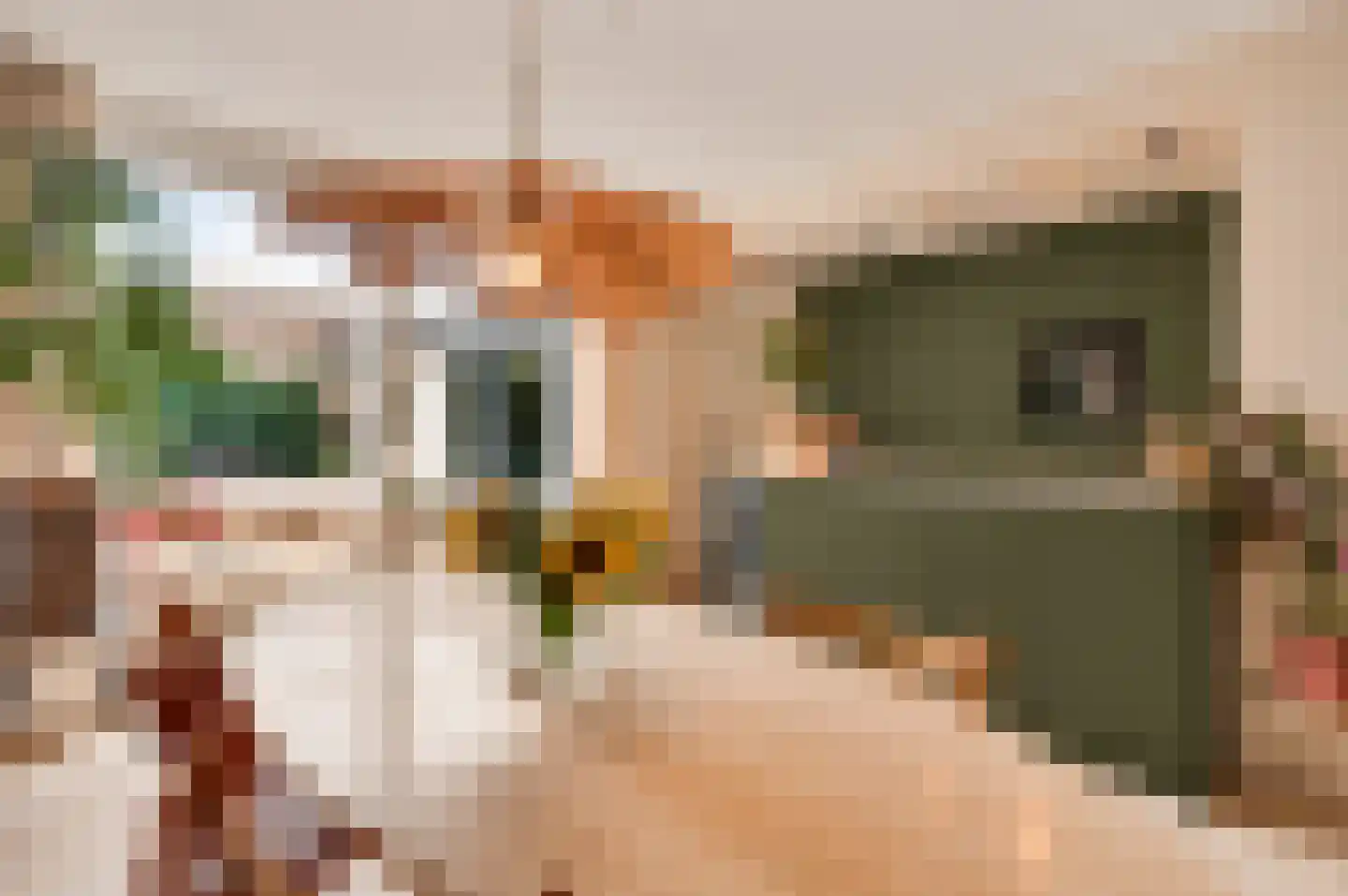 Gerechtigheidslaan 7 Maastricht thumbnail 7