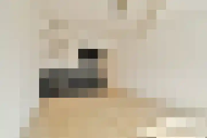Geregracht 3 D Leiden thumbnail 11
