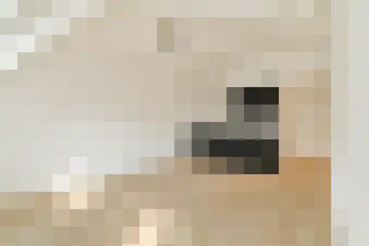 Geregracht 3 D Leiden thumbnail 12