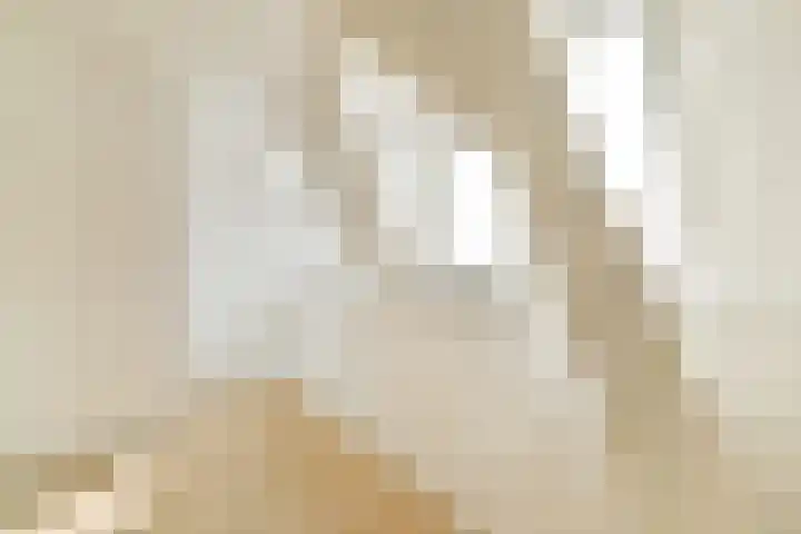 Geregracht 3 D Leiden thumbnail 9