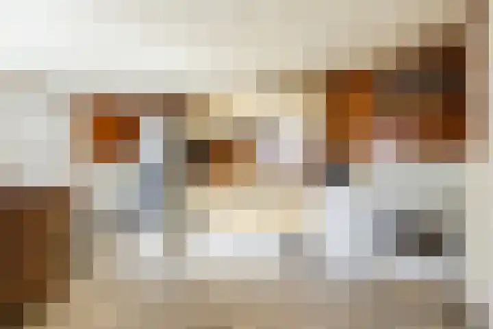 Gerele Peel 8 Elsendorp thumbnail 15