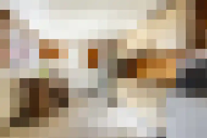 Gerele Peel 8 Elsendorp thumbnail 16