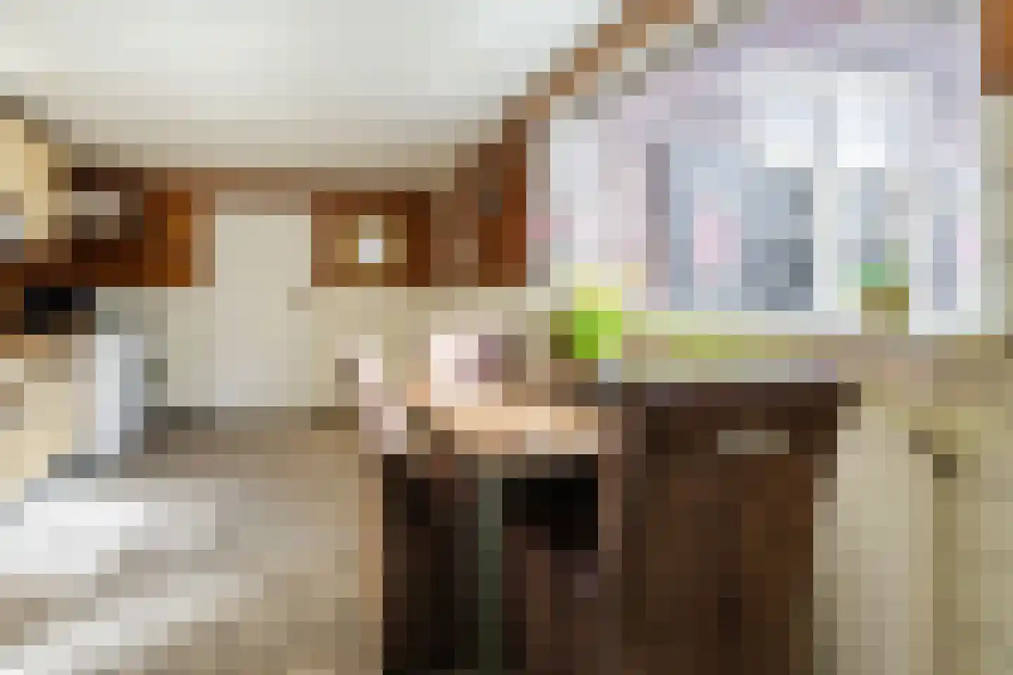 Gerele Peel 8 Elsendorp thumbnail 17