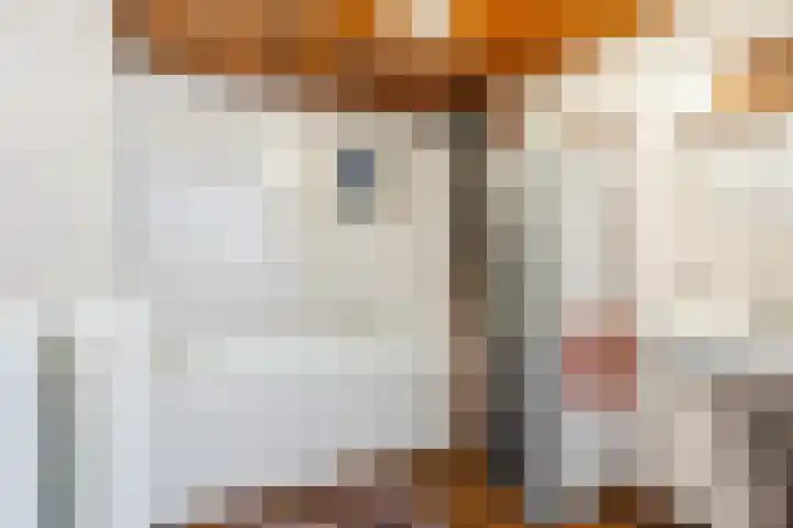 Gerele Peel 8 Elsendorp thumbnail 18