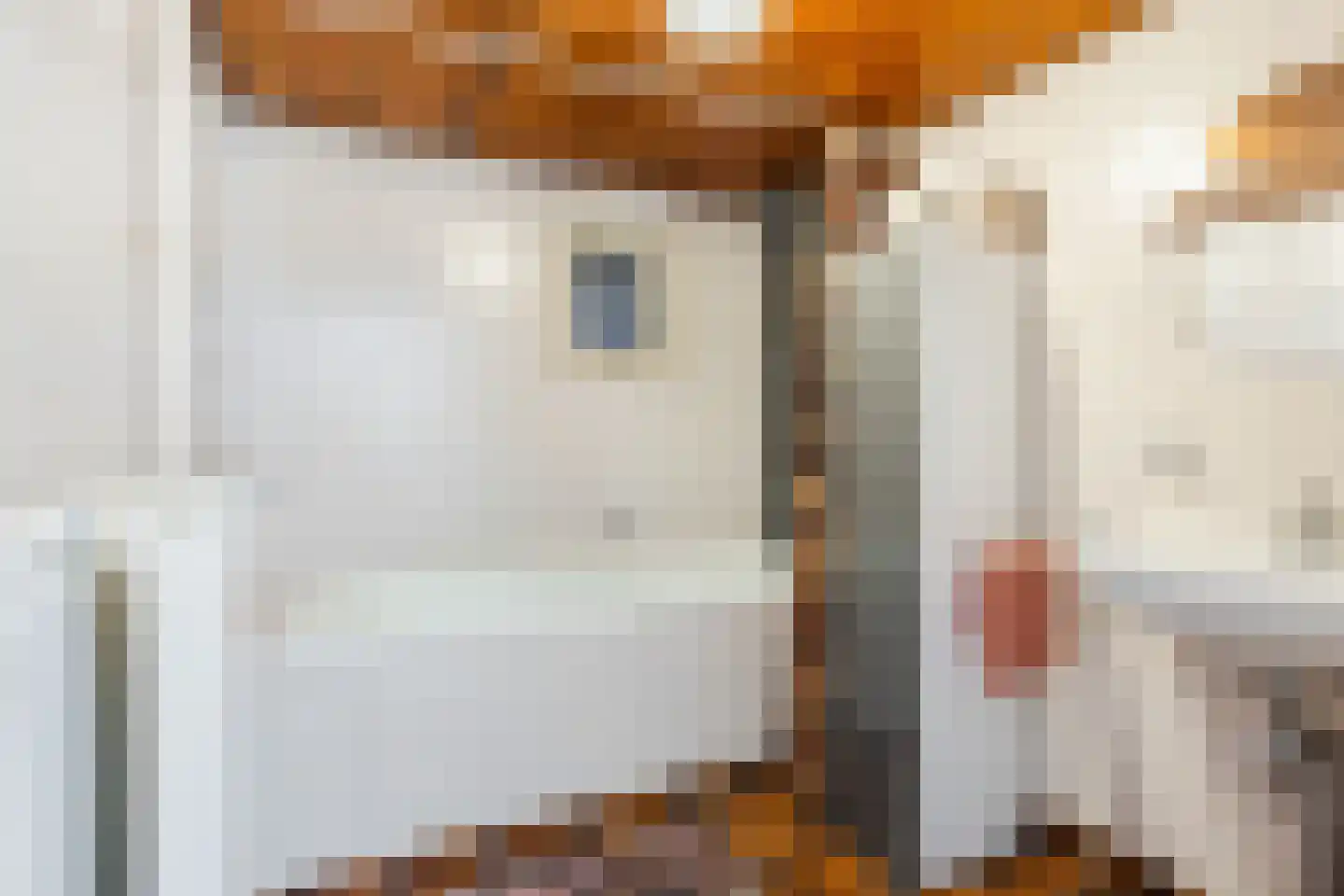Gerele Peel 8 Elsendorp thumbnail 18