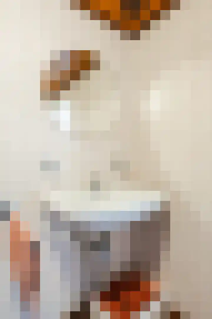 Gerele Peel 8 Elsendorp thumbnail 19