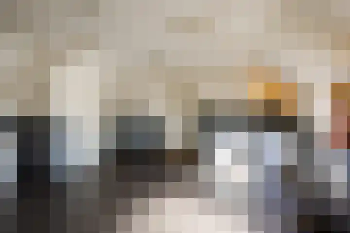 Gerele Peel 8 Elsendorp thumbnail 21