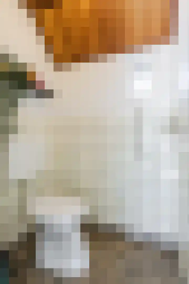 Gerele Peel 8 Elsendorp thumbnail 23
