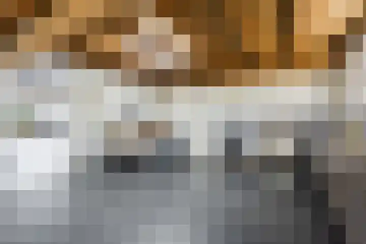 Gerele Peel 8 Elsendorp thumbnail 24