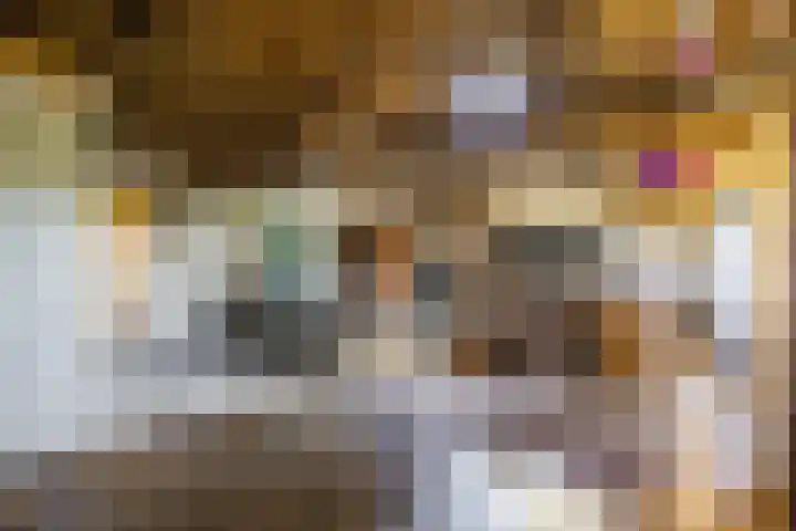 Gerele Peel 8 Elsendorp thumbnail 26