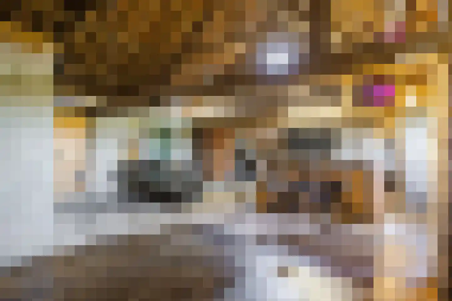 Gerele Peel 8 Elsendorp thumbnail 26