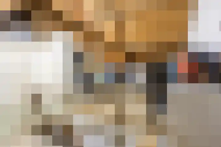 Gerele Peel 8 Elsendorp thumbnail 29