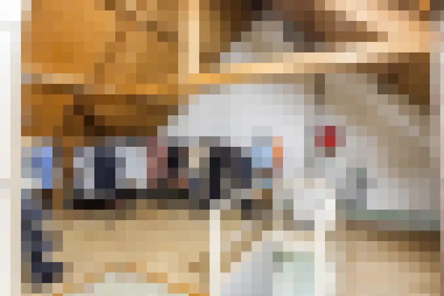 Gerele Peel 8 Elsendorp thumbnail 30