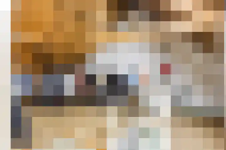 Gerele Peel 8 Elsendorp thumbnail 30