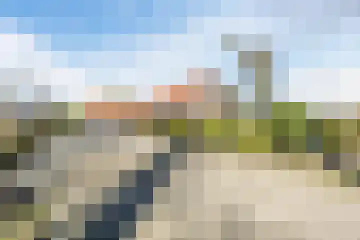 Gerele Peel 8 Elsendorp thumbnail 33