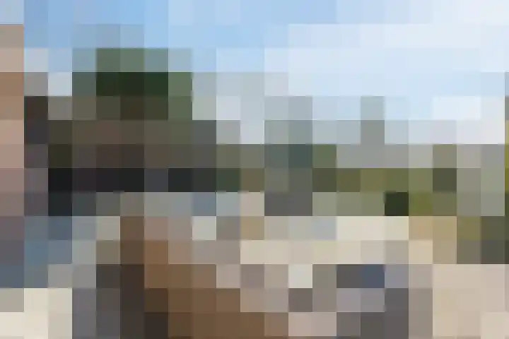 Gerele Peel 8 Elsendorp thumbnail 35