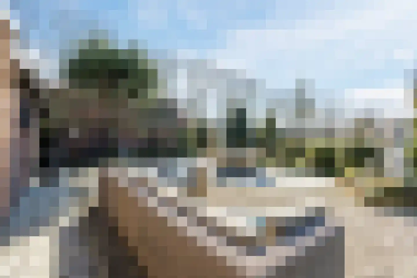 Gerele Peel 8 Elsendorp thumbnail 35
